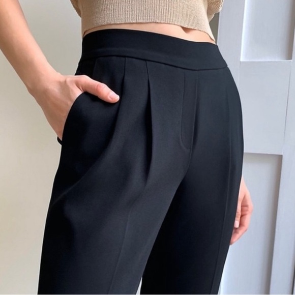 Aritzia Babaton Italian Wool Blend Pull In Pants Tailored Pleated Cropped Office - Picture 3 of 11